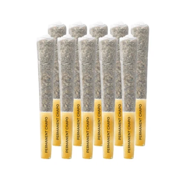 Pistol And Paris : Permanent Chapo Pre-Rolls (10pk)