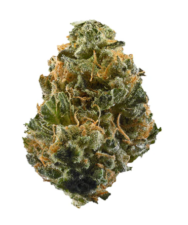 Ripped : Ripped Sativa Dried Flower