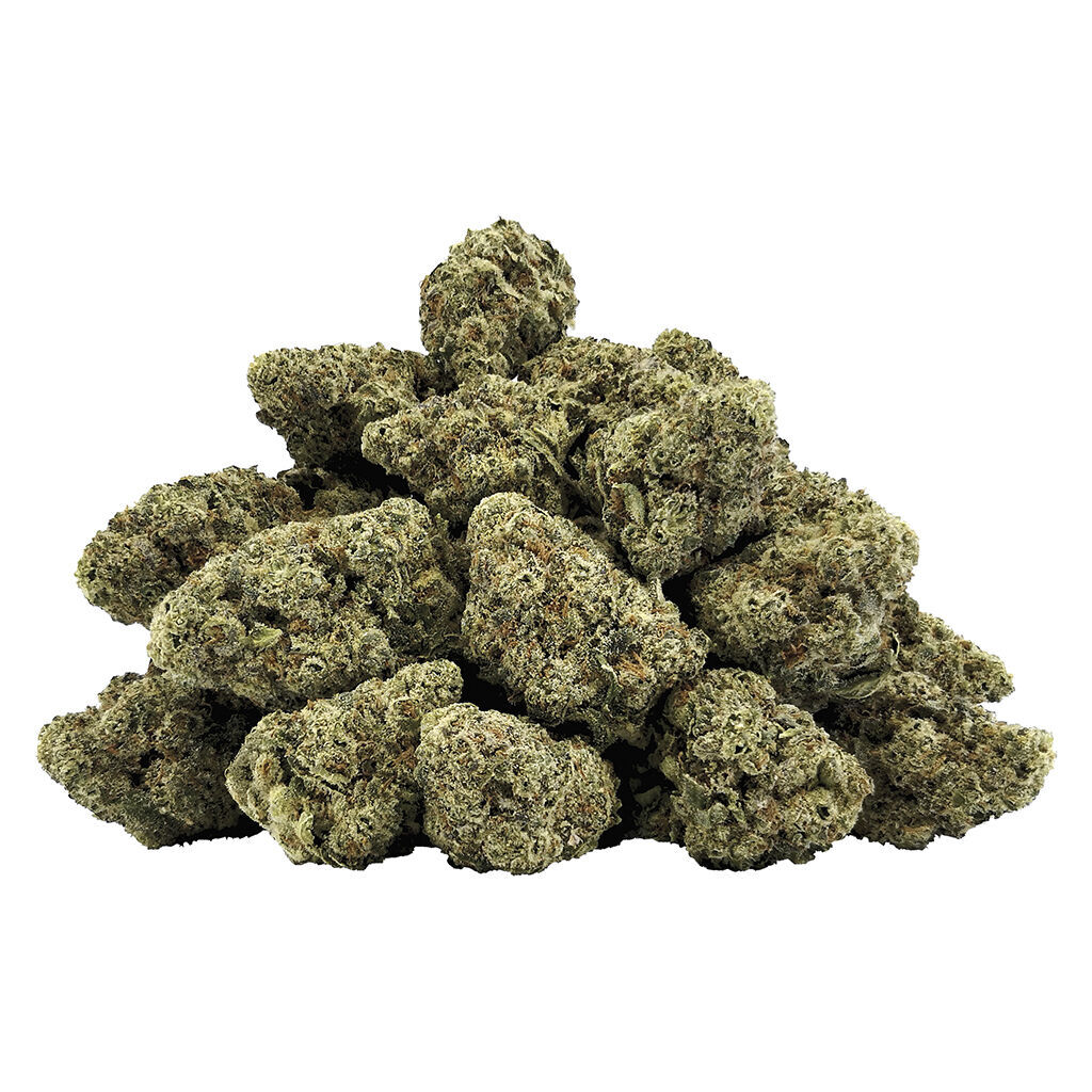 Bc Oz - Snow Globe Lto - 28G