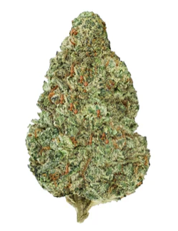 Back Forty : Chemzilla
