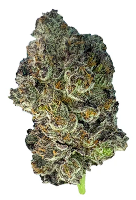 Valhalla Flwr - Pink Zkittlez Lto