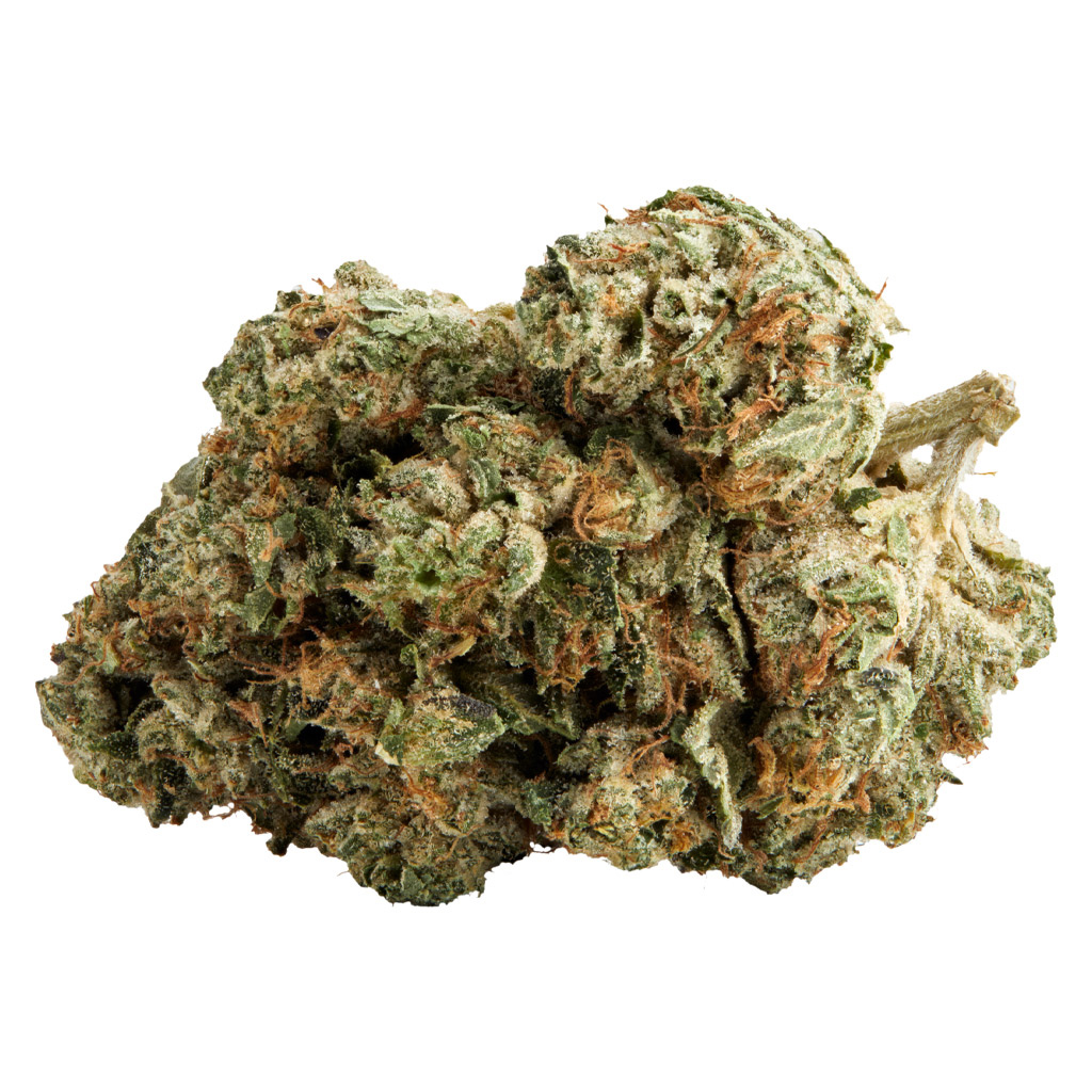 Palmetto : OG KUSH