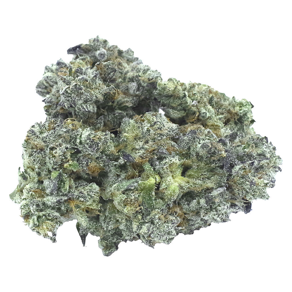Orchard : Granddaddy Gelatti