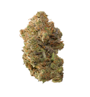 Pineapple Buds : Pineapple Soda