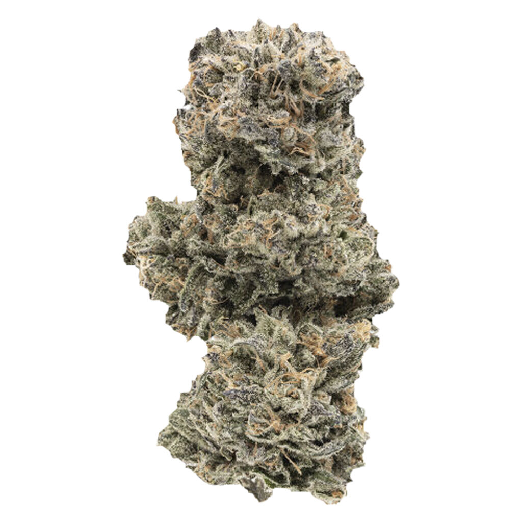 1964 - Kush Mints
