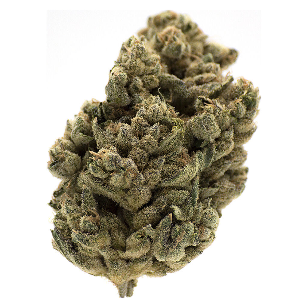 MTL Cannabis : JUNGL' CAKE