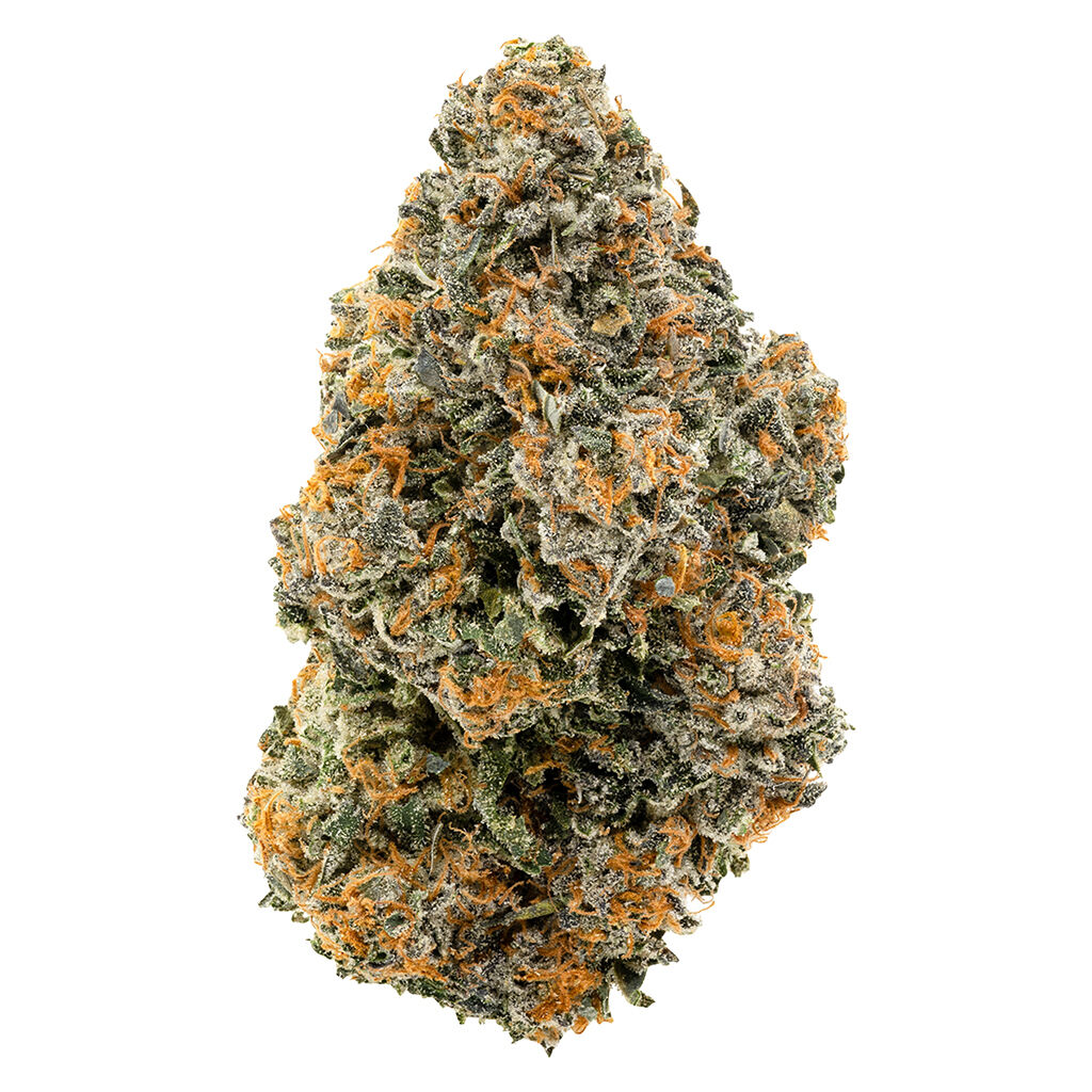 1964 : ORGANIC GELATO #41