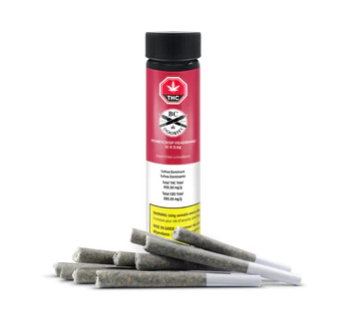 BC Doobies : Honeycrisp Headband Pre-Rolls (10pk)