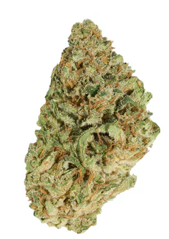Good Supply : Jean Guy (28g)