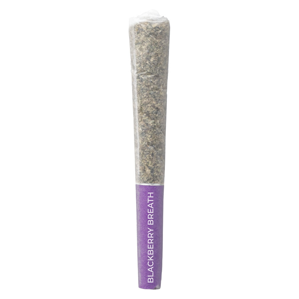 Pistol And Paris : Blackberry Breath Pre-Rolls (3pk)