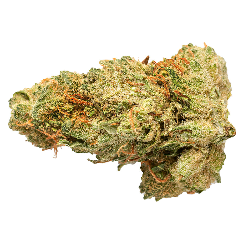 GRASSLANDS : SATIVA