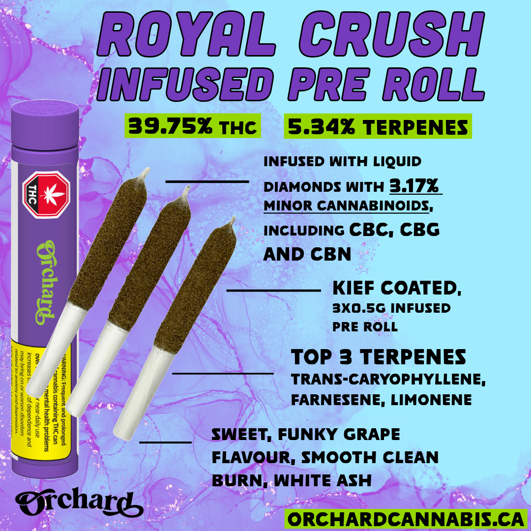 Orchard : Royal Crush Infused Pre Rolls (3x0.5g)
