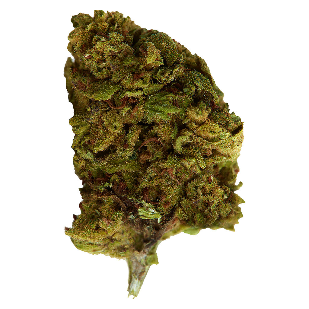 Versus : Bubba Kush