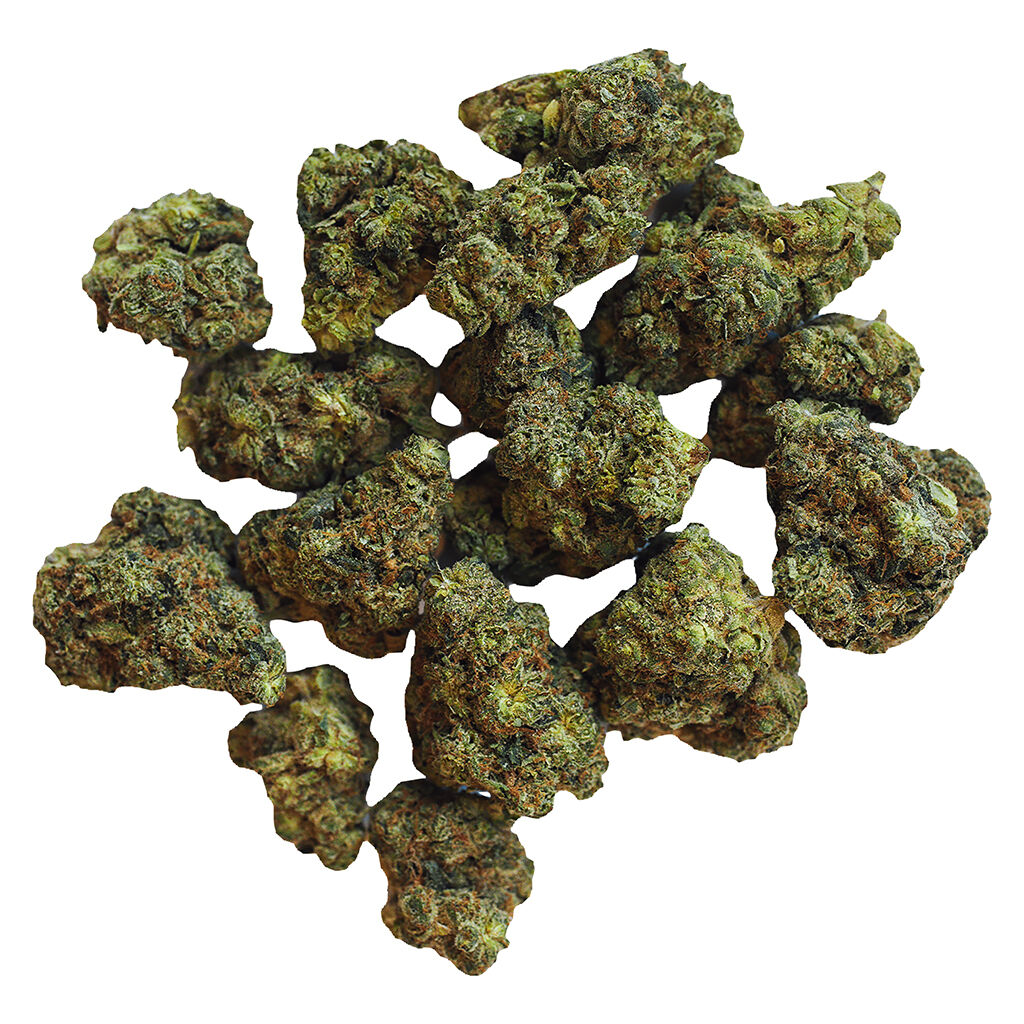 Bold - Root Beer Float Flower - 14G