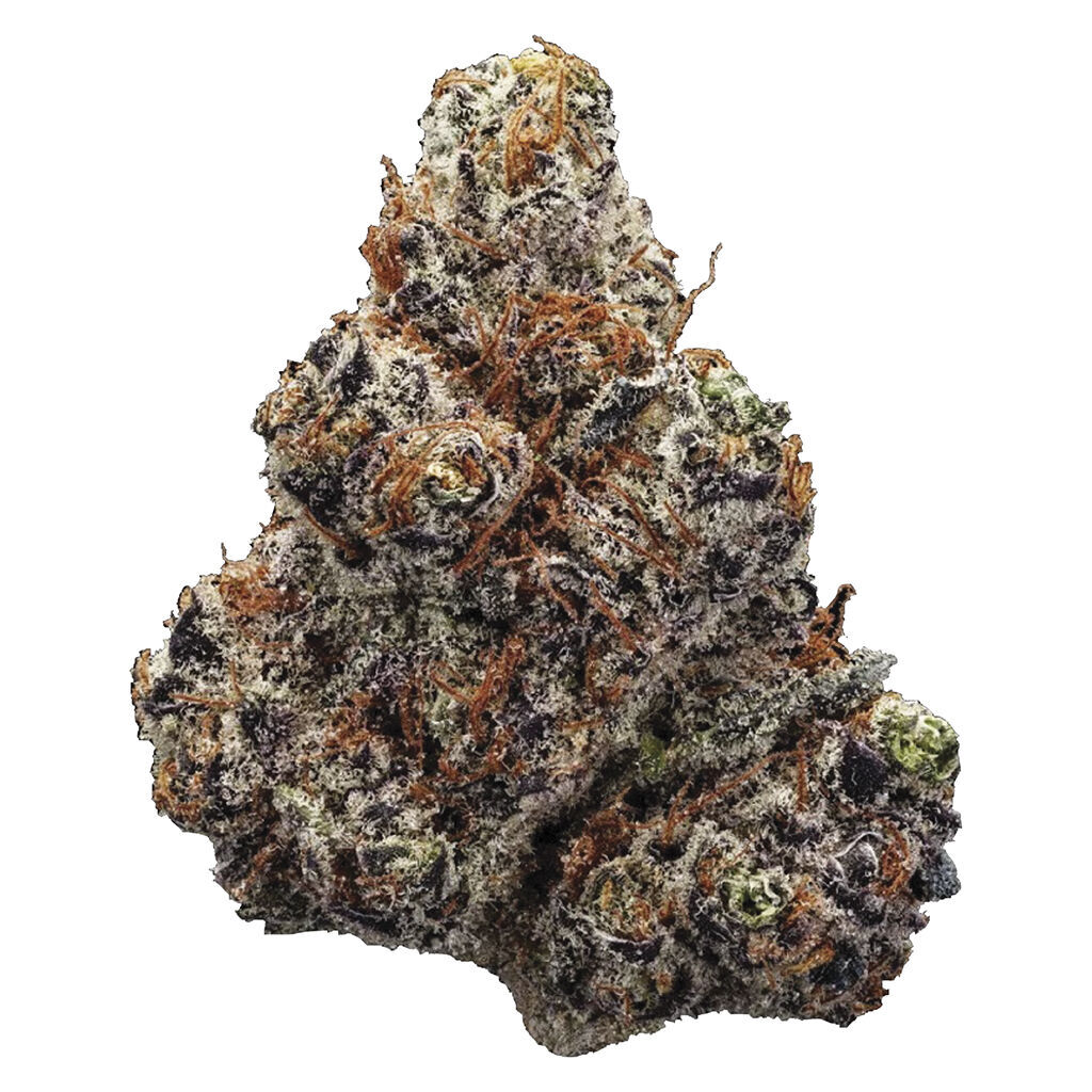 Station House : Northern Lights