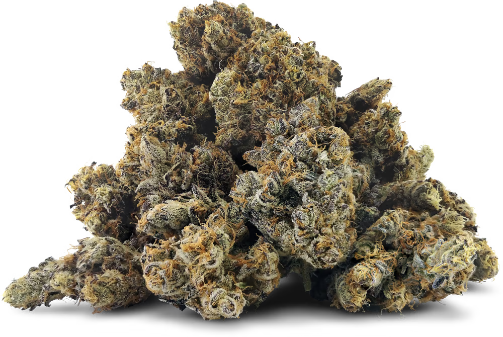 BC BLACK : GRAPE GATSBY CRAFT