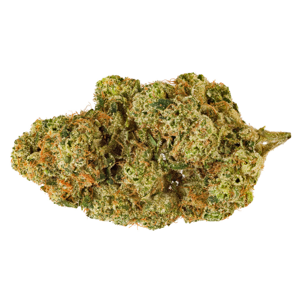 San Rafael '71 - Electric Honeydew -  Hybrid 3.5G