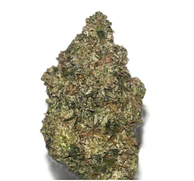 Salt Spring Magic : Moby Dick