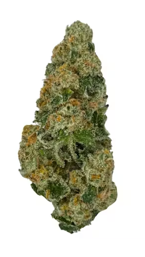Magi's Smalls : Stoned Fruit Slurricane