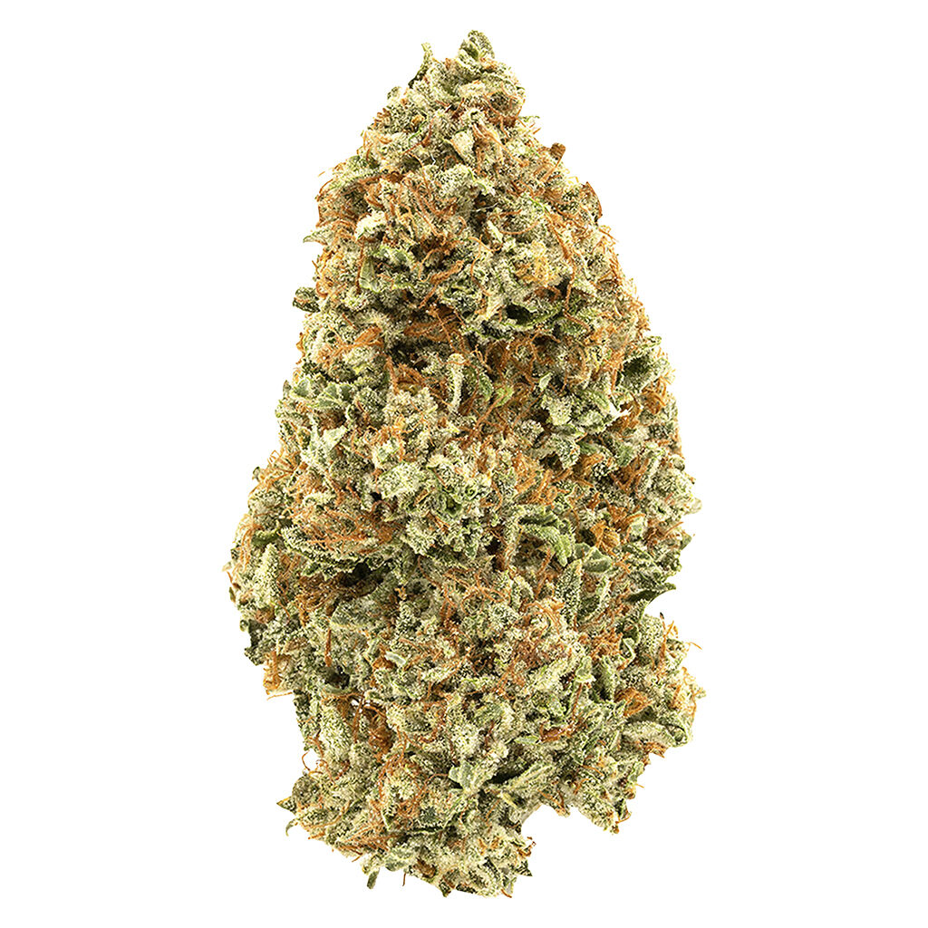 1964 : ORGANIC SUPER LEMON HAZE