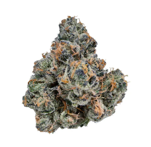 Allday Cannabis - Gastropop Lto
