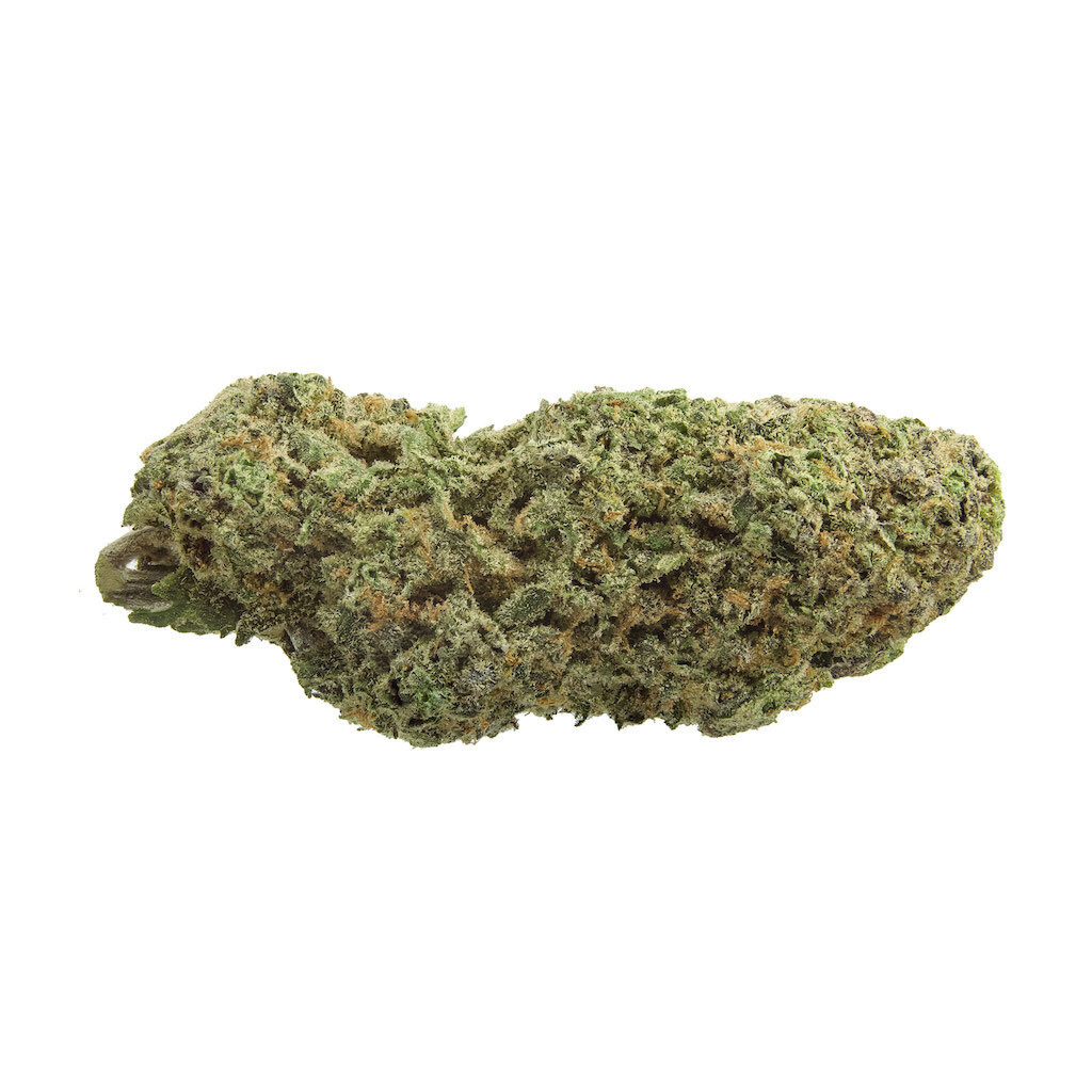 1964 : ORGANIC SOUR COOKIES