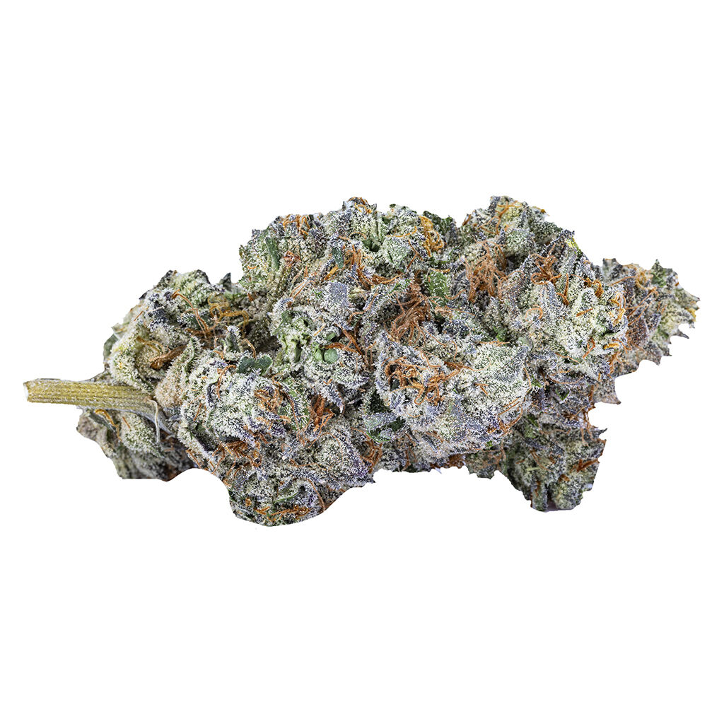Sixty Seven Sins : Mind Playa