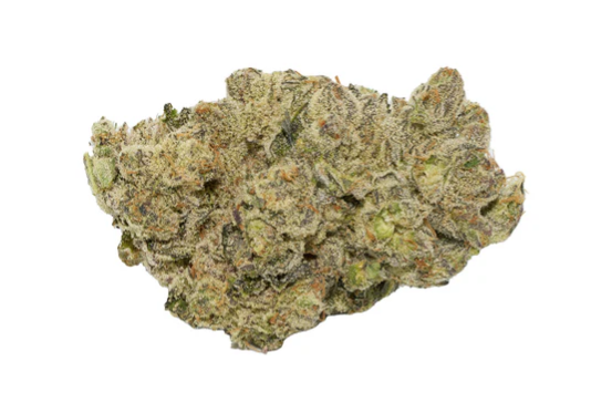 Broken Coast : BC Selects: Sprits 26 Lto