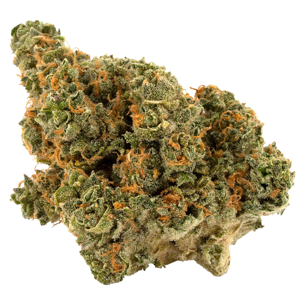 PALMETTO : WHITE WIDOW