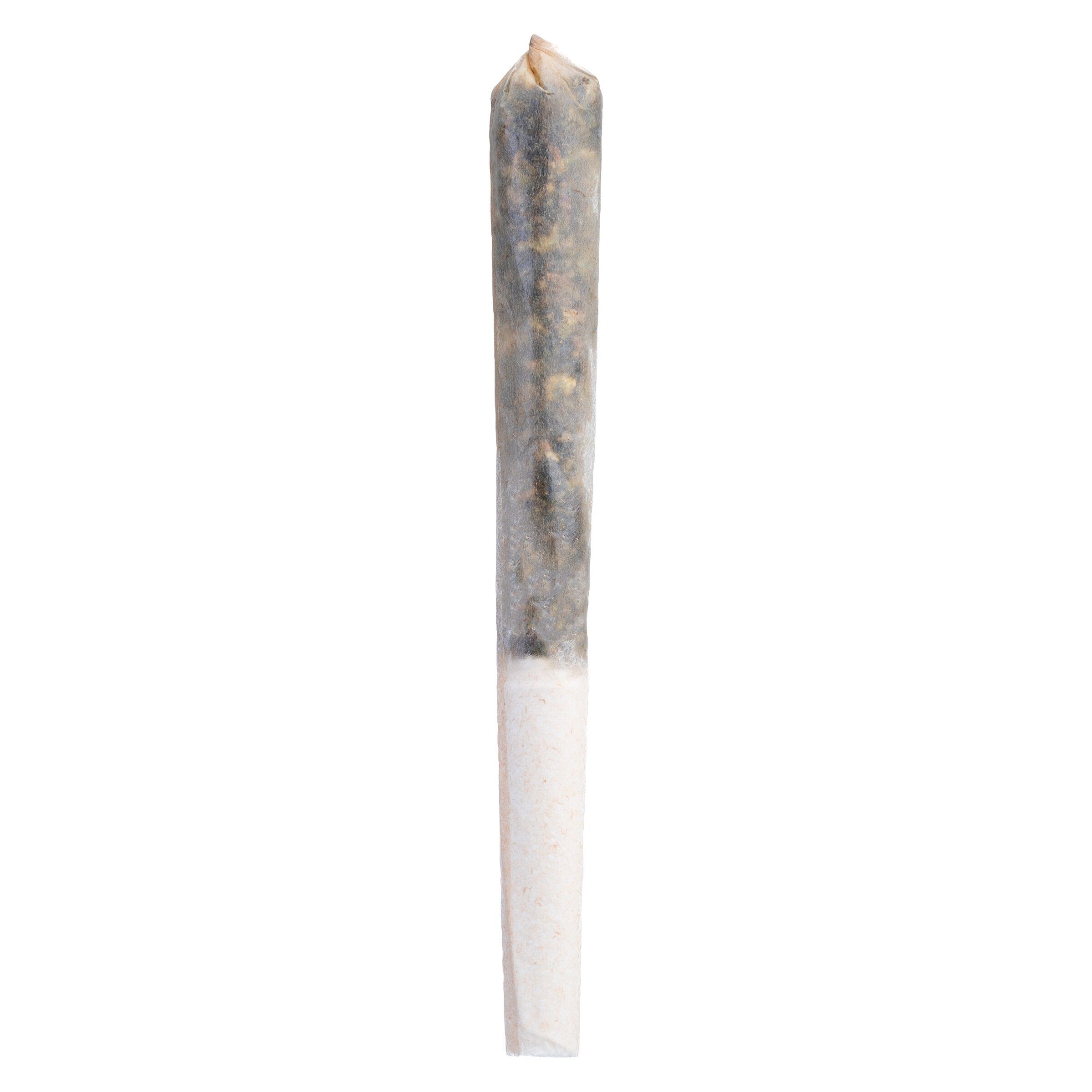 Tenzo - Frosted Pancakes Infused Pre-Roll - Tenzo : Frosted Pancakes Infused Pre-Roll (.5g)