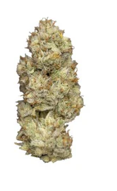 Nugz - Wagyu Delight