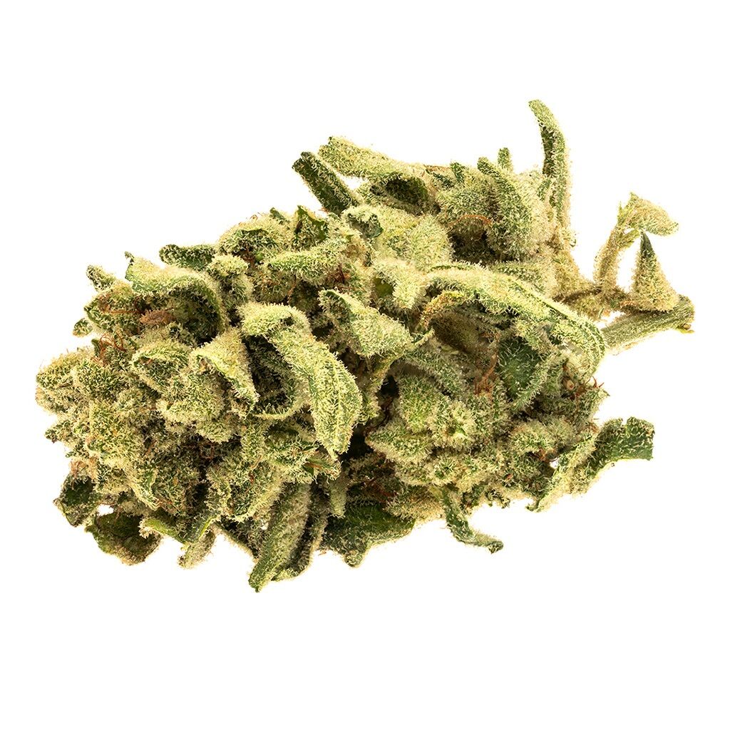 Good Supply : MONKEY GLUE