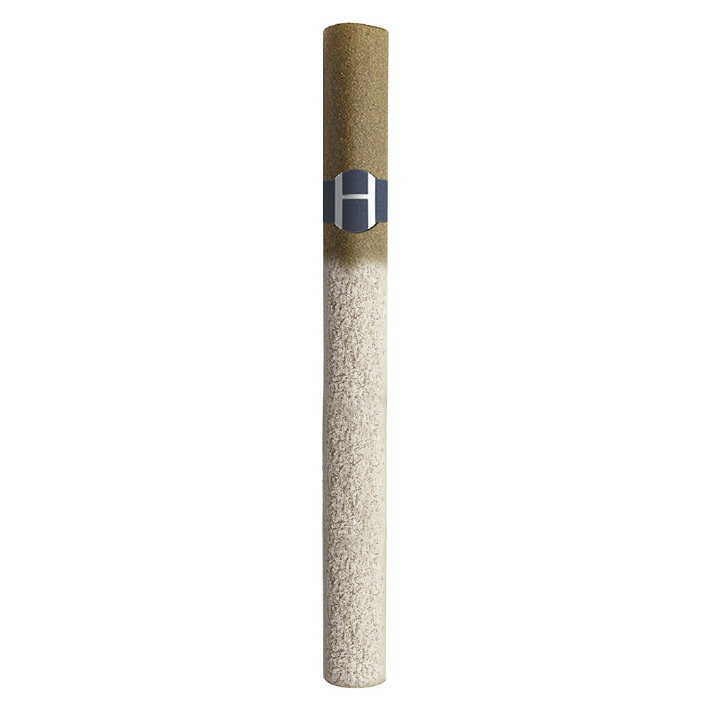 Buddy Santoro : Hawaiian Headband Triple Infused Cannagar (1pk)