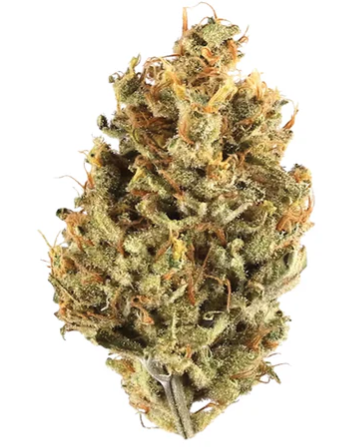 Potluck : Cranberry Cough
