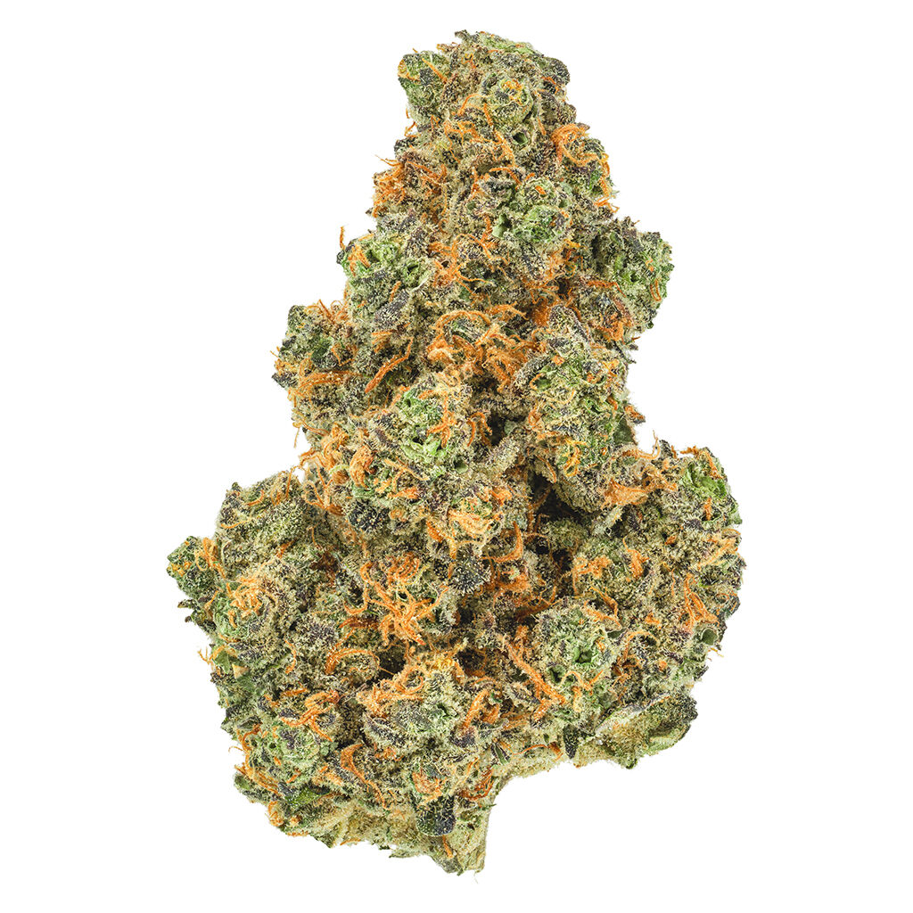 San Rafael '71 : PINK DIESEL 71