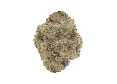 Buzz : Agent Orange Lto