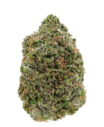 Amani Craft Cannabis : Rockstar Lto
