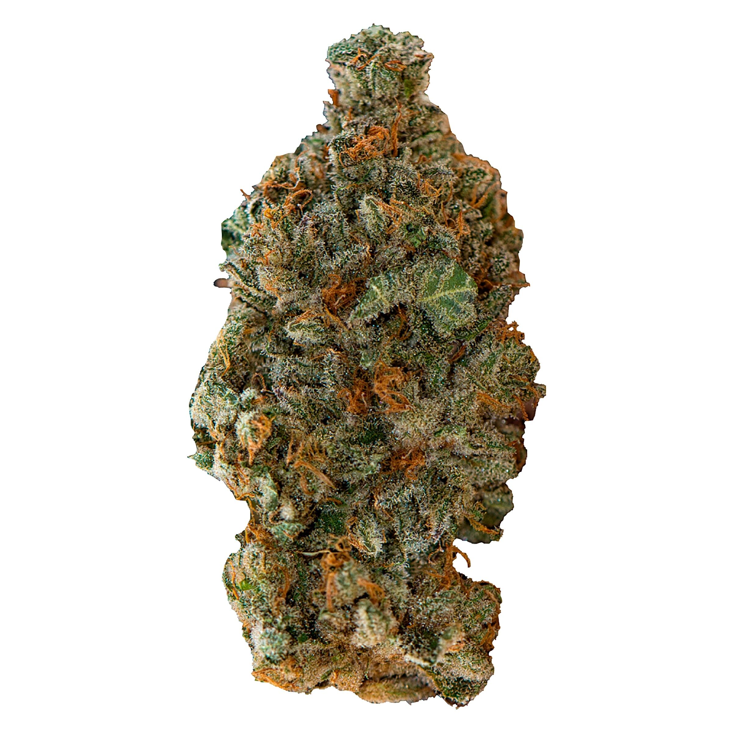 Versus : Girl Scout Cookies