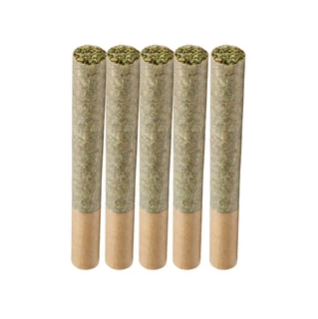 Socio : Organic Gelatti Pre-Rolls Lto (5pk)