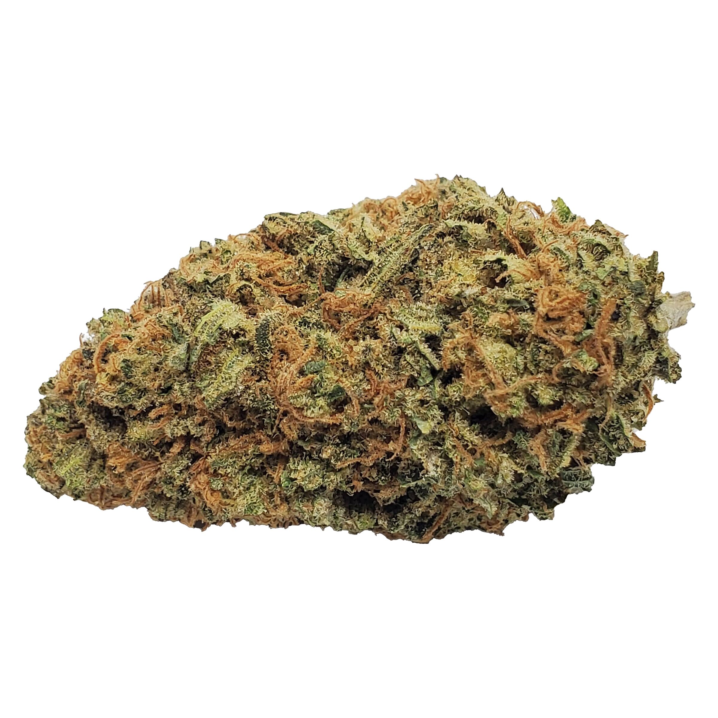 Color Cannabis : Blueberry Seagal