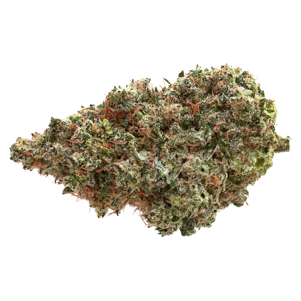 Pure Sunfarms : Neon Lambo - Pure Sunfarms - Neon Lambo - 7G