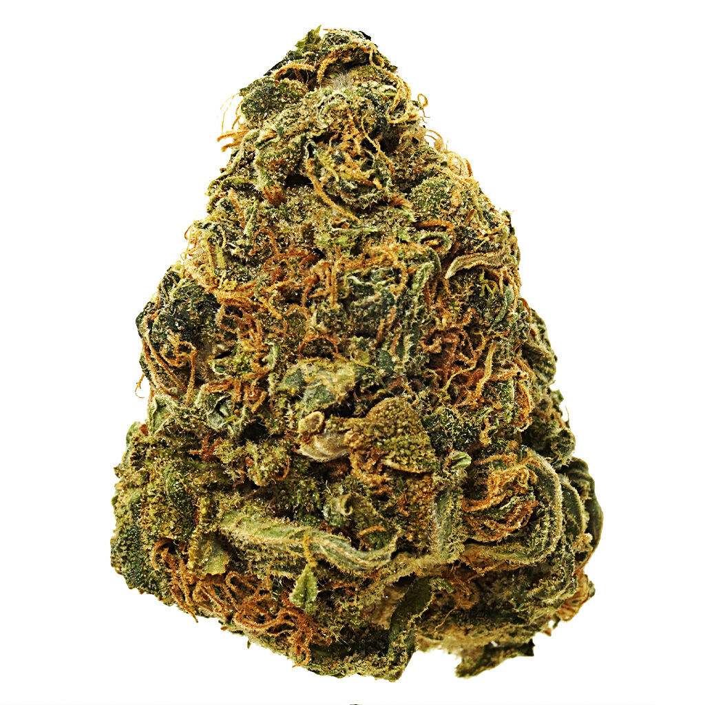 THC BioMed : THC SATIVA LANDRACE