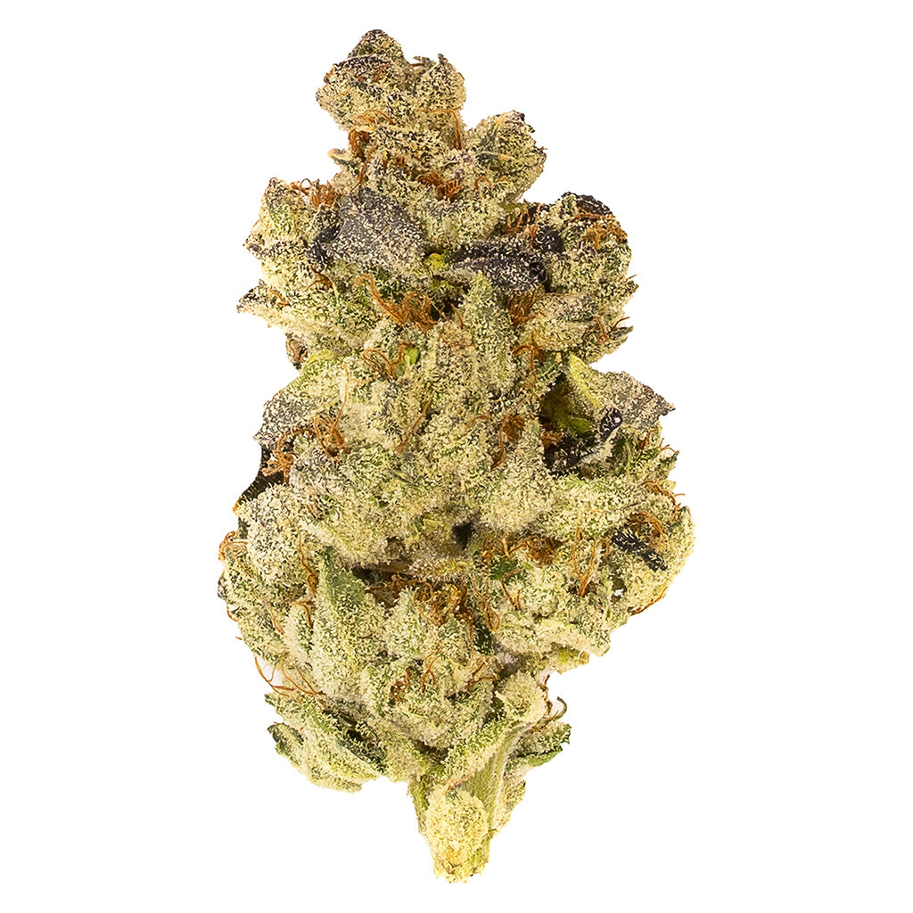 5 Points Cannabis : Mosa Orange Punch