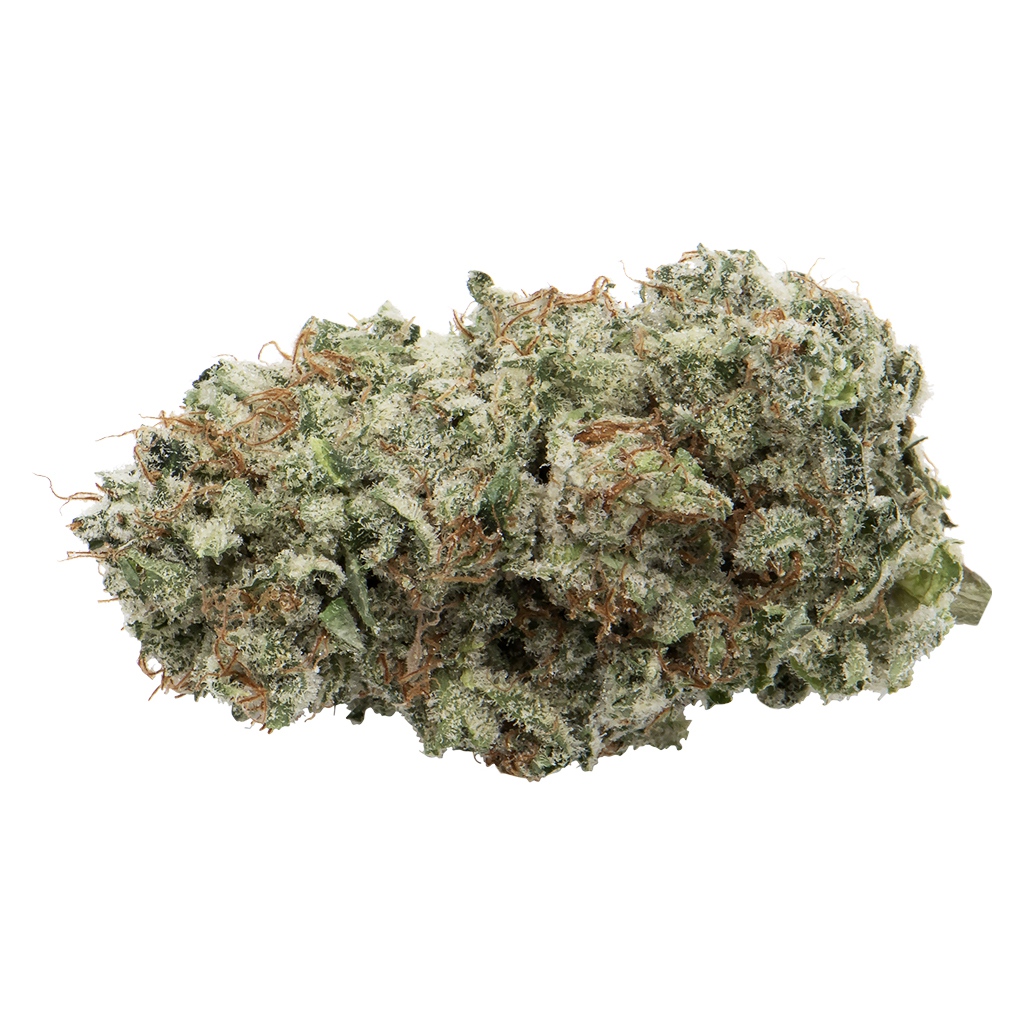 GREYBEARD : AFGHANI DRIFTER