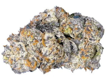 Castle Rock Farms : Triangle Octane