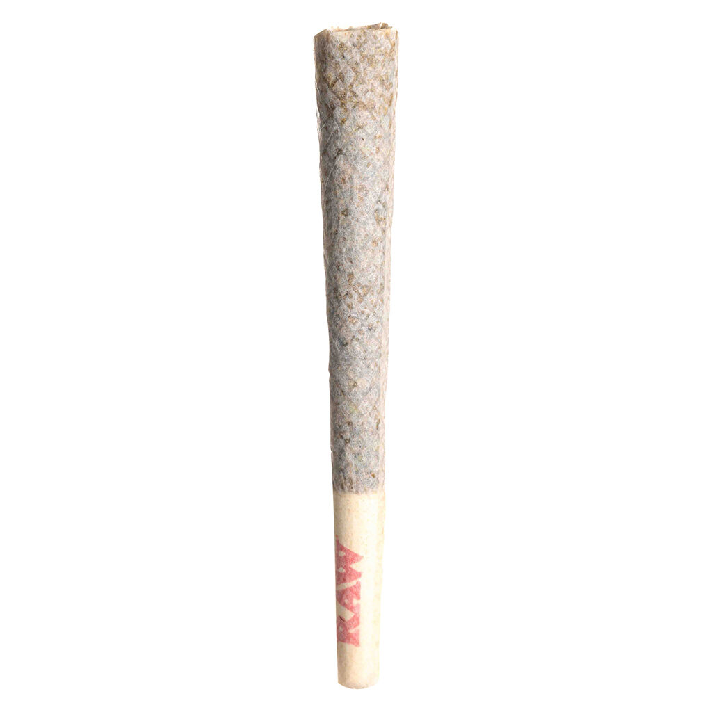 Tenzo : Jokerz Cndy Pre-Roll