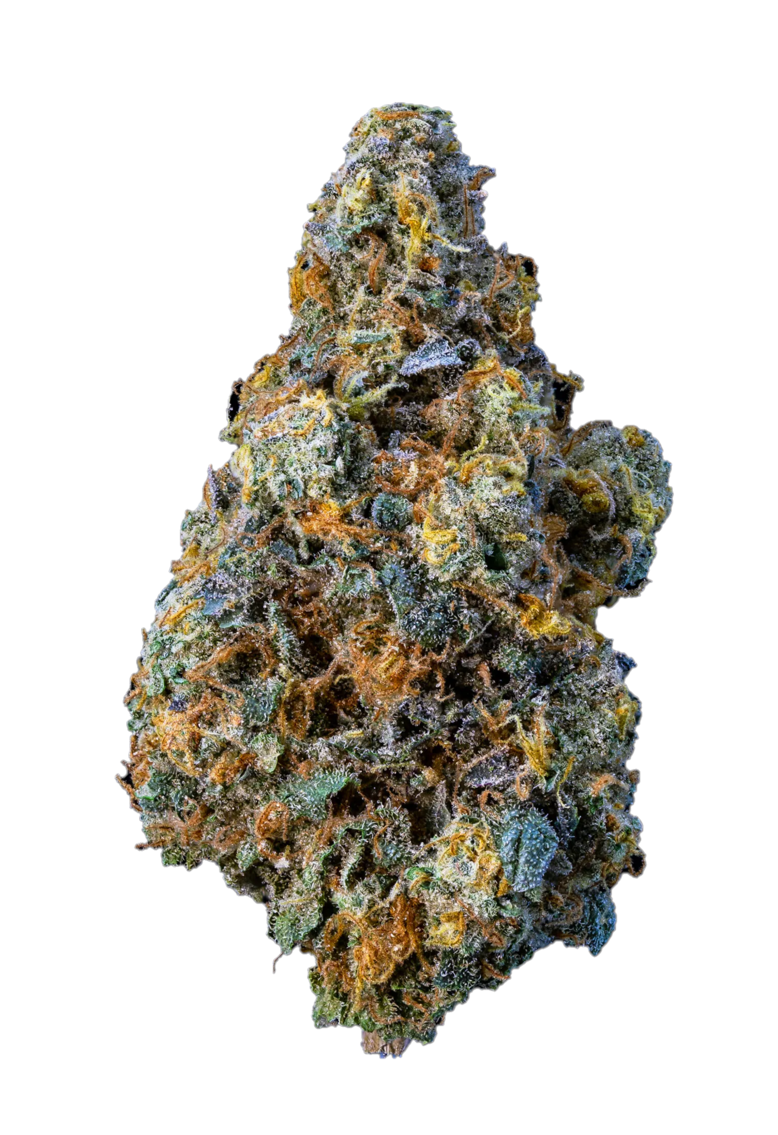 SWEETGRASS ORGANIC CANNABIS : CRUSHED VELVET