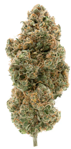 Simply Bare Organic : Tangerine Sunrise