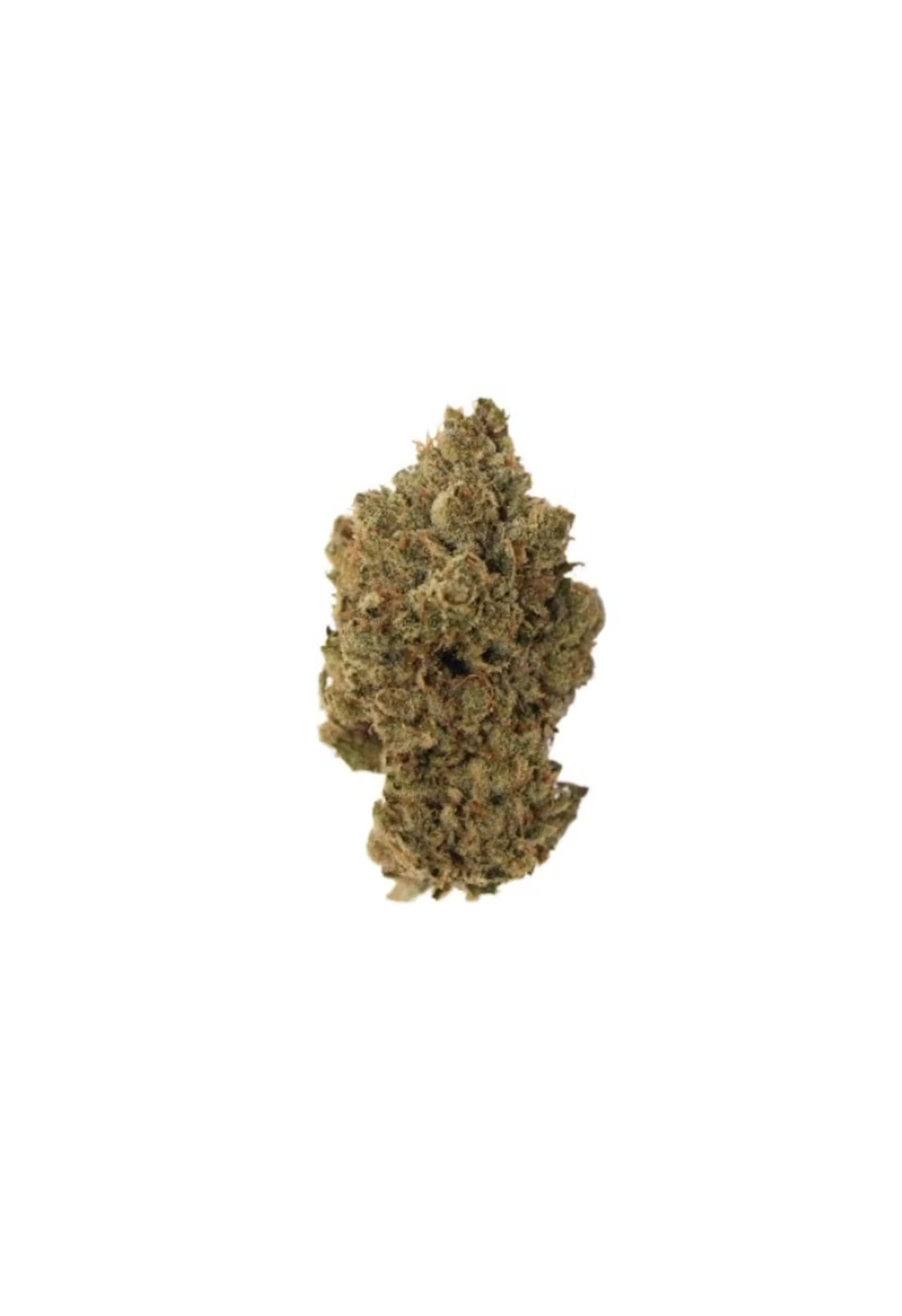 Pineapple Buds : PINEAPPLE HAZE (SILVER HAZE)