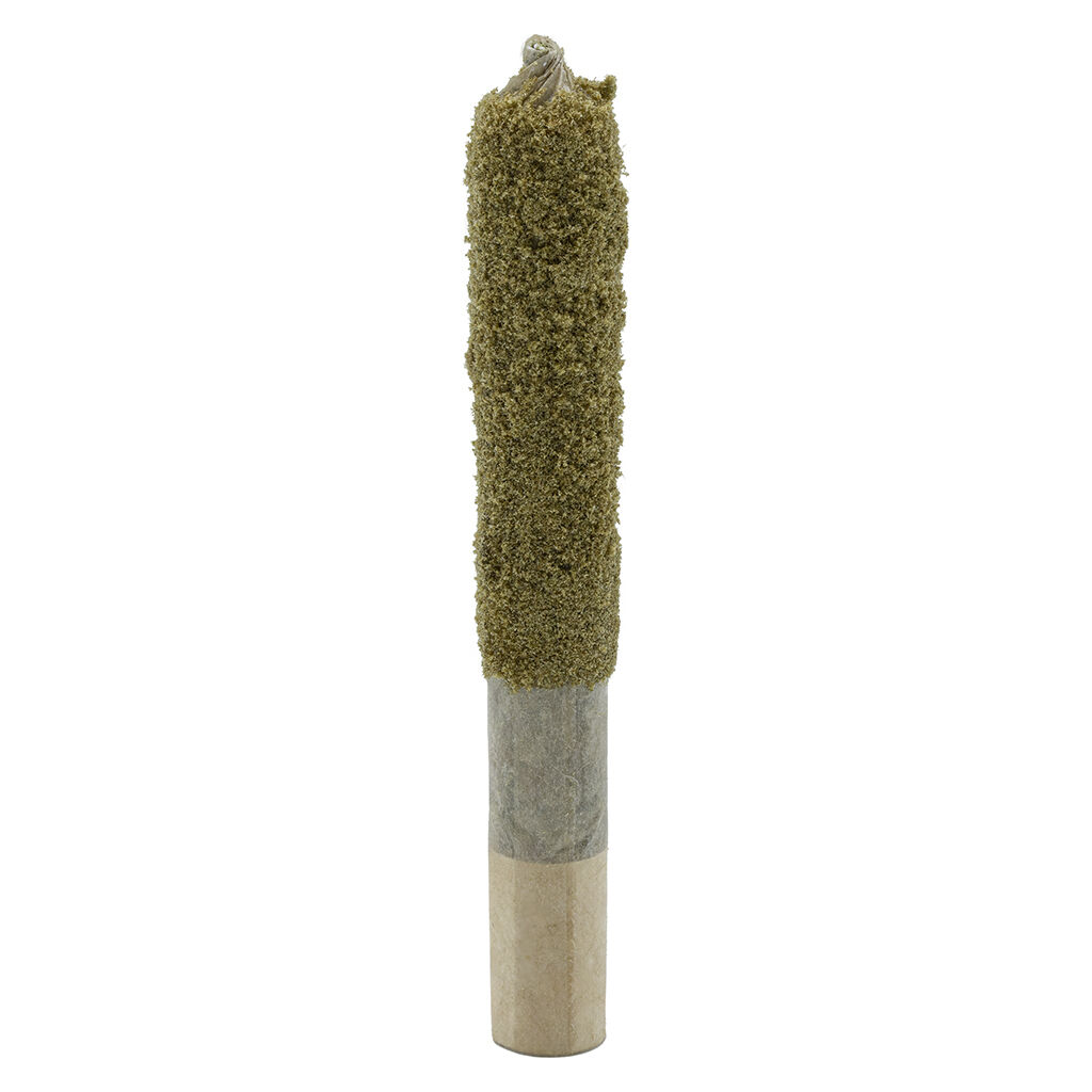 Endgame : Mosa X Blood Orange Dusted Dank 1 Infused Pre-Roll (1x1g)